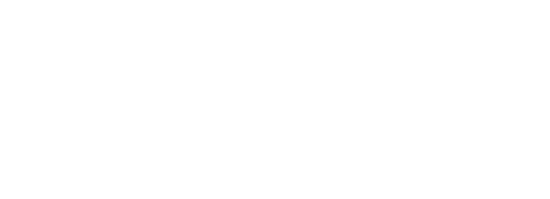 Aivooz